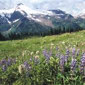 Finn Creek Provincial Park