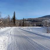 Mud Creek & Mud Lake Forest Service Road & Bridge WINTER