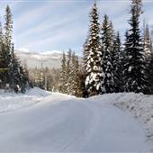 Herb Bilton Way WINTER