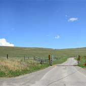 Deleeuw Road through Knutsford Grasslands SPRING