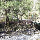 Sooke Potholes Bridge