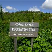 Coral Cave