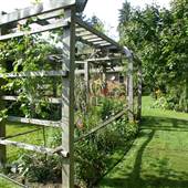 Shephard's Garden