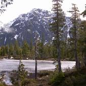 Mount Cain Meadows