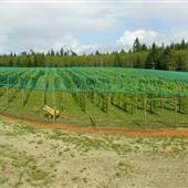 Marshwood Estate Winery (Marshwood Estate Vineyard)