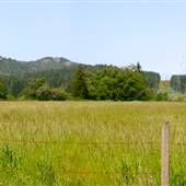 Brannen Lake Farm
