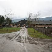 Fox Farm