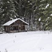CAMP MCKINNEY RD CABIN