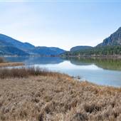 VASEUX WILDLIFE CENTRE