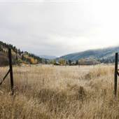 Forest Grove