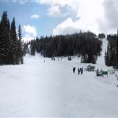 Sun Peaks Resort 112a Mt. Morrisey Platter & Golf Course WINTER