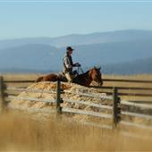 JURA - GRASSLANDS / RANCH
