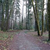 Dry Creek Park
