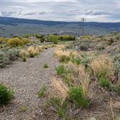 Deadman Junction - South Side of Hwy 1 MJ