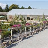 ART KNAPPS FLOWER/PLANT STORE