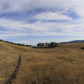 *Kullagh Road Grasslands - Hollis 107 SE Grasslands SEPT - Red Gate Access