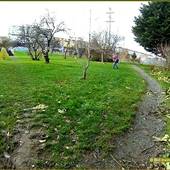 Hereward Green Park
