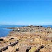 Beachcomber Regional Park -  Headland