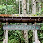 Qualicum Beach Heritage Forest