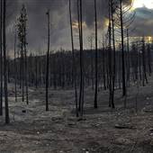 BURNT FOREST-WEST KELOWNA 2023