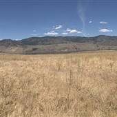 *Tobiano - East Fields 01 with Garage & Desert