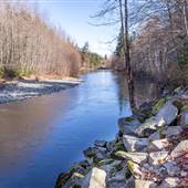 Oyster River