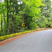 Scotchtown Road Mossy Barrier