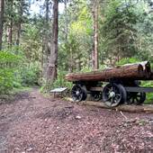 Willingdon Beach Trail