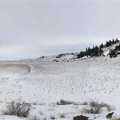 *DLR Pennask Lake Road Grasslands 2km 03 and Nicola Lake -  FEBRUARY WINTER