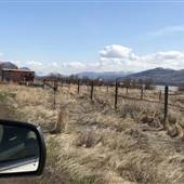 Tranquille Property 41 - Fields SW Outbuilding Abandoned