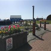 Sidney Waterfront and Amphitheatre Bandstand