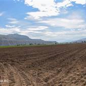 Desert Hills Farm Ranch Fallow