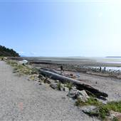 Crescent Beach Park & Beecher Street
