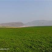 Cactus Country Farm Crop Fields