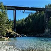 Nimpkish River Trestle