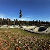 Willow Point Skate Park