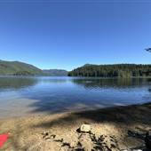 Haslam Lake (old campground)