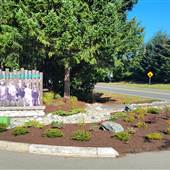 Parksville Museum
