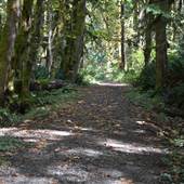 Roger Creek - from Log Trail to Amy & Lolas Trails