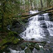 Stokes Creek Falls