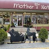 Mother Nature - Christmas