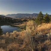 Deer Drive Plowe Pond Desert 103 FALL