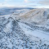 Sabiston Creek Road Views - Winter
