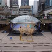 Robson Square Ice Rink