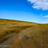 KGHM Ajax Jocko Hayfield Grasslands