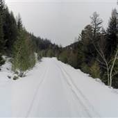 Train Railbed along Coldwater River Canyon to Brodie Loop - No Tracks WINTER