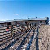 Chataway Ranch 03 Stables