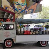 CAR - The Delicate Flower Truck