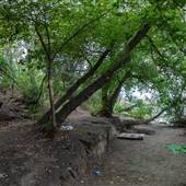 Vicars Road to South Thompson River