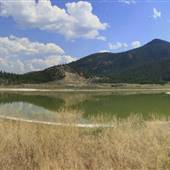 Buse Lake and Forest
